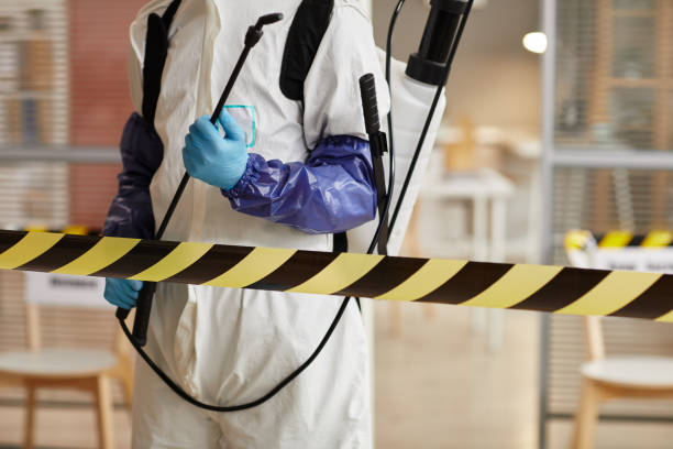 Professional Sewage Cleanup technician working in Scotts Valley, CA